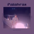 Palabras (feat. ŁuVy) [Explicit]
