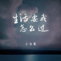 生活要我怎么过