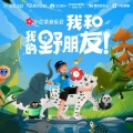 卢葭禾 - 黑与白的奇迹