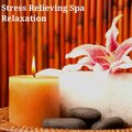 Bright Night - Wellness Program