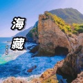 高珂珂 - 海藏