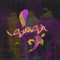sabre - SWISH