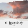 山楂树之恋 (钢琴版)