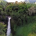 Solo Relajacion - Nature Rainforest