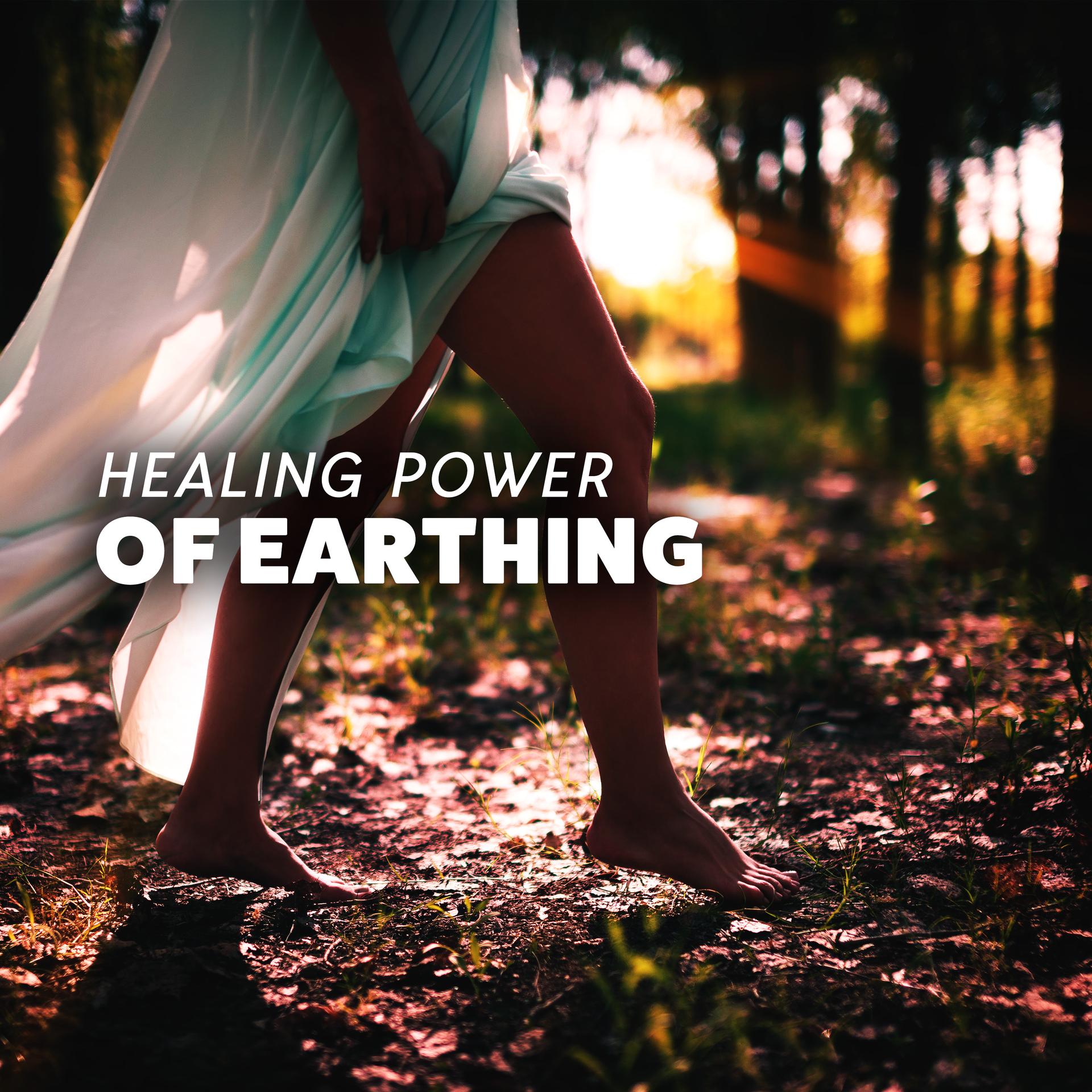 Earthly Delights Universe - Earthing Routine
