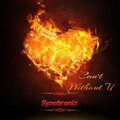 Synchroniz - Can't Without U