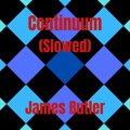 James Butler - Continuum - Slowed Version (Explicit)