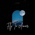 Fly To Amar