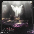 NLCC、Fireplex - Dark Light