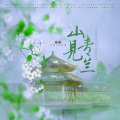 山青见兰 (电视剧《苍兰诀》原创同人曲)