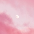 张维珈、张天奕ZTYick - 心动陷阱