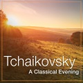 valery gergiev、Mariinsky Orchestra - No. 14b Pas de deux: Variation I (Tarantella)