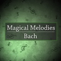 albrecht mayer、Daniel Hope、Stefan Maass、Deutsches Kammerorchester Berlin、Reinhard Kammler - 2. Largo ma non tanto (Transcr. for Oboe and Violin)