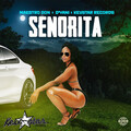 Señorita (Explicit)
