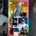 AtilaKw、Yum Yum - Yum Yum the Tiel Song (feat. Yum Yum)