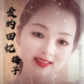 梅子 - 爱的回忆