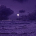 Sped Up Mage、Syrex、Golden Wizards、Ash Pournour、Rachel Morgan Perry、Gabriel Benjamin、Avicii、John Feldmann - The Nights (Sped Up)
