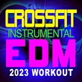 CrossFit Junkies - Bangarang