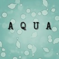 Aiuole - Prof.