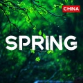 spring (china)