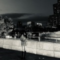 0908 - 库里南