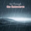 See Through the Rainstorm
