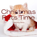 2 0 2 2 Christmas Pets Time
