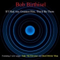 Bob Birthisel、Harley Sumabat - Friends Don't Let Friends Drive Everyone Crazy