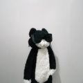 58 - 属于