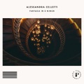 Alessandra Celletti - Fantasia in D Minor, K. 397