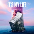 It's My Life (remix：The Distance & Stam)