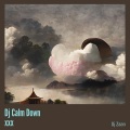 Dj Zaan - Dj Calm Down Xxx (Remix)