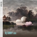 Dj Zaan - Dj Sorry Xxx (Remix)