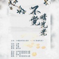 凤梨锦果 - 不觉晴光老