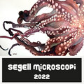 Segell Microscopi 2022
