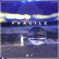 Intryx、FirstOFive、Daisy Phillips、NakyMine - Fragile (feat. Daisy Phillips)(NakyMine Remix)