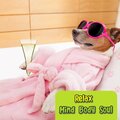 Relax Mind Body Soul、Relaxing Music For Mind Body And Soul - Music For Stress & Anxiety Relief