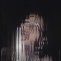 Fetish - Metamorphosis