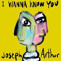 Joseph Arthur - I Wanna Know You
