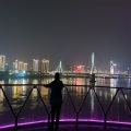 汪良平 - 半山听雨
