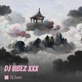 Dj Zaan - Dj Vibez Xxx (Remix)