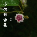 追忆 (伴奏)