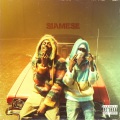 Siamese (Explicit)