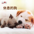 RW 音乐缓解压力 - 深度放松
