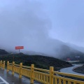 顾叔 - 功勋