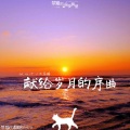 一只茶猫 - 愿望