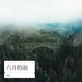 倾城 - 你到底有没有爱过我