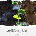 小何 - 听心