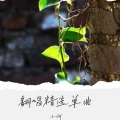 小何 - 偿还