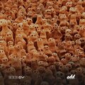 SARA KRIN - All Over